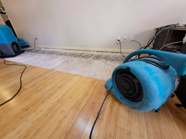Professional Sewage Cleanup technician working in Dousman, WI